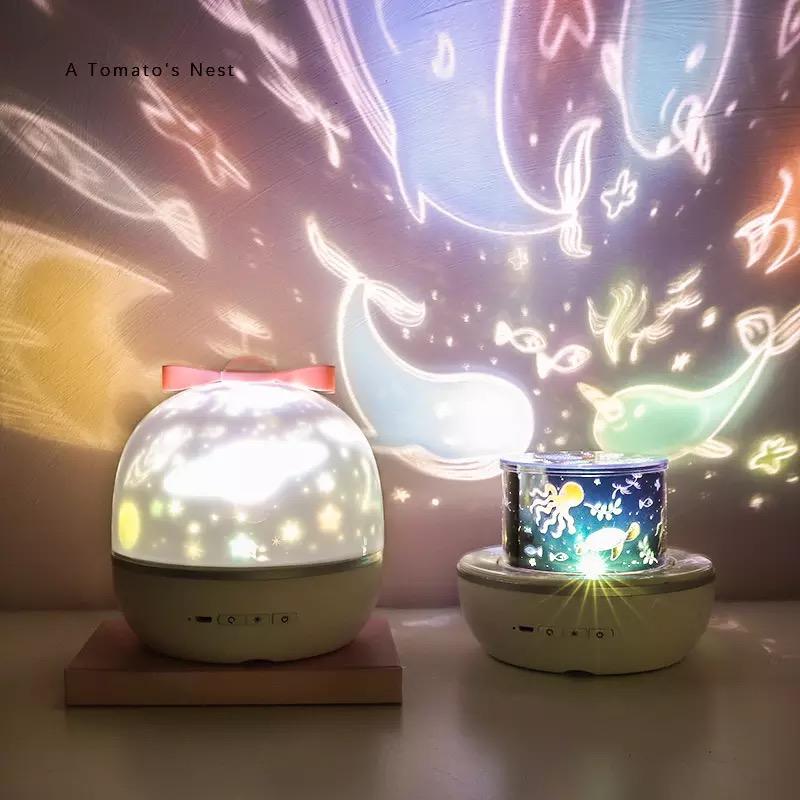 Projection Lamp