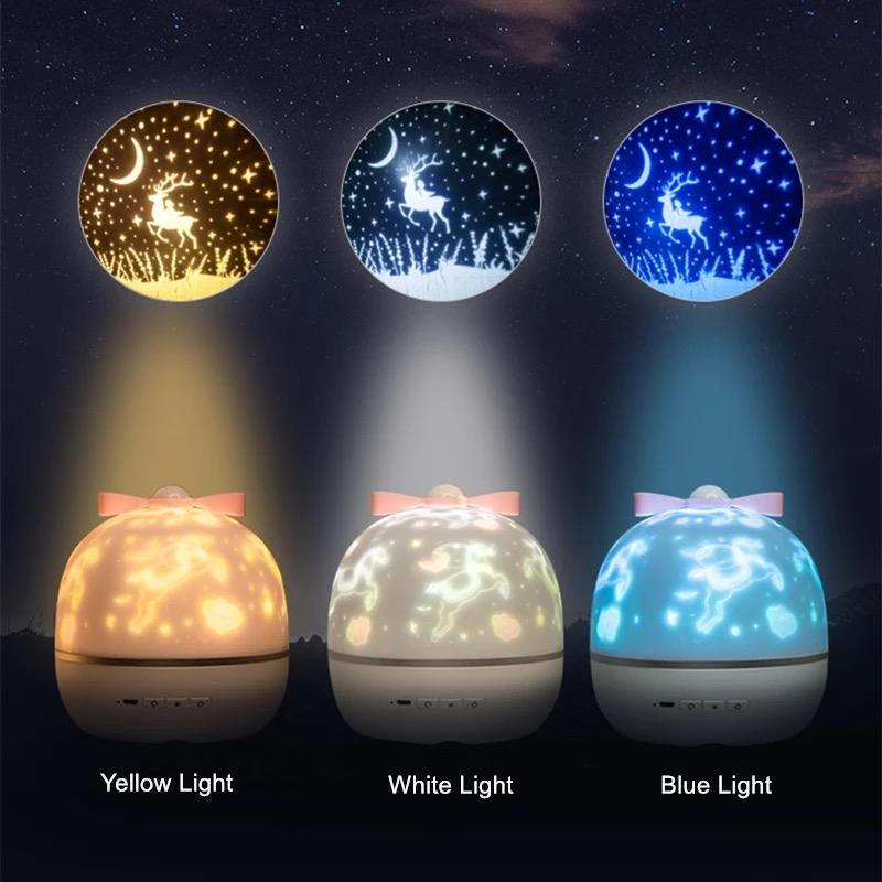 Projection Lamp