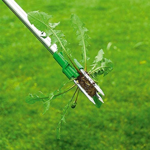 Weeder
