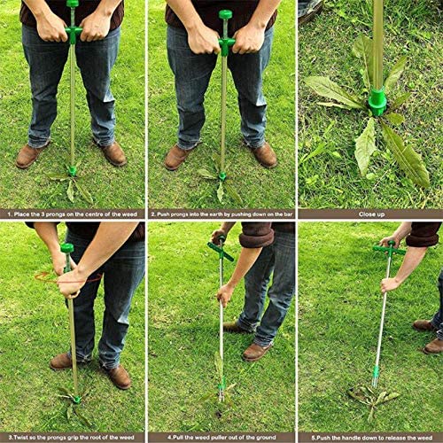 Weeder