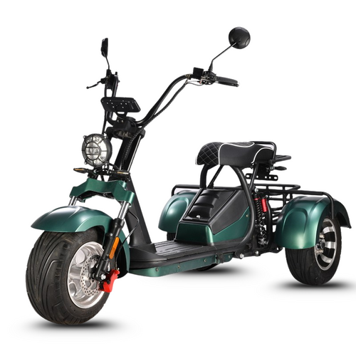 HM-3 Electric Tricycle with Adjustable Range (20 Ah/40 Ah)
