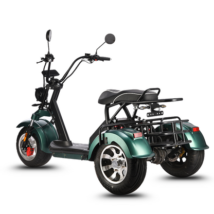 HM-3 Electric Tricycle with Adjustable Range (20 Ah/40 Ah)