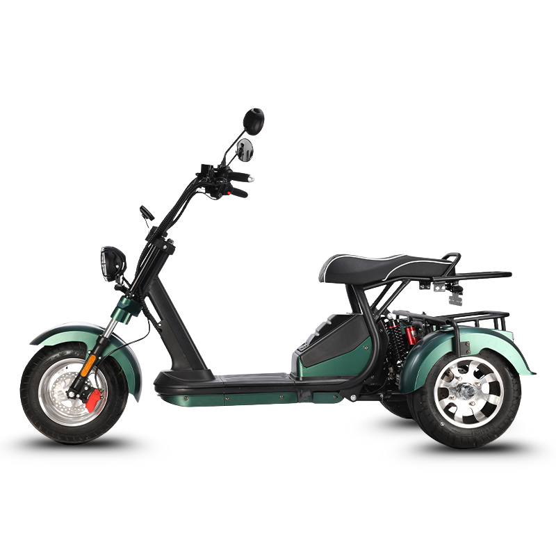 HM-3 Electric Tricycle with Adjustable Range (20 Ah/40 Ah)