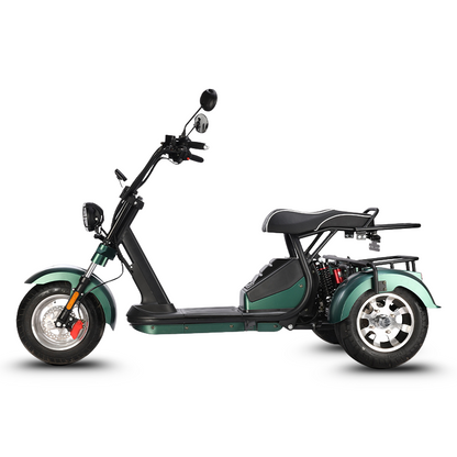 HM-3 Electric Tricycle with Adjustable Range (20 Ah/40 Ah)