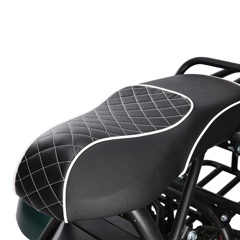 HM-3 Electric Tricycle with Adjustable Range (20 Ah/40 Ah)