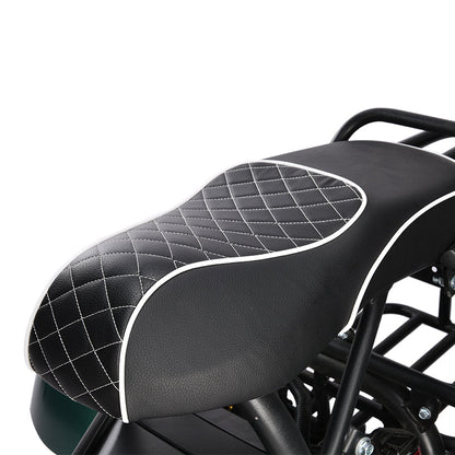 HM-3 Electric Tricycle with Adjustable Range (20 Ah/40 Ah)