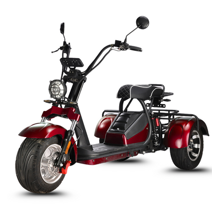 HM-3 Electric Tricycle with Adjustable Range (20 Ah/40 Ah)