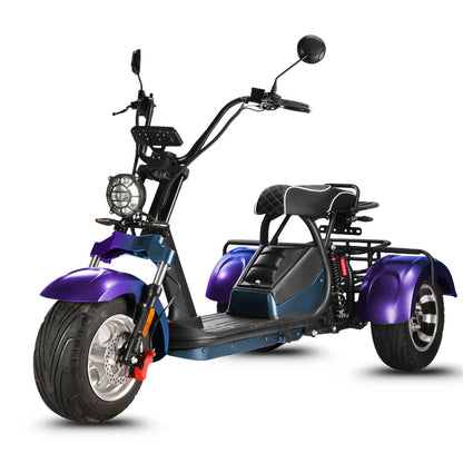 HM-3 Electric Tricycle with Adjustable Range (20 Ah/40 Ah)