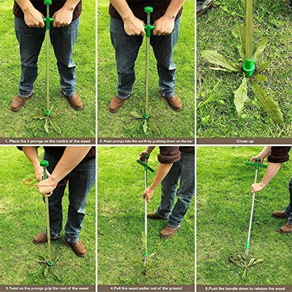 Weeder